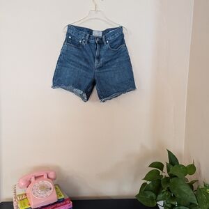 Everlane Women's Blue Jean Shorts